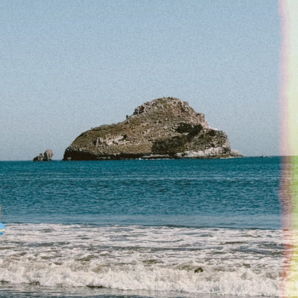 Meet your Posher, Lily